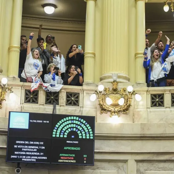 Reconocimiento legislativo para la Lengua de Señas Argentina -LSA-. Viviana Burad, Abril de 2023.